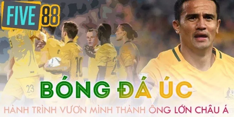 Lợi ích khi anh em tham gia soi kèo bóng đá